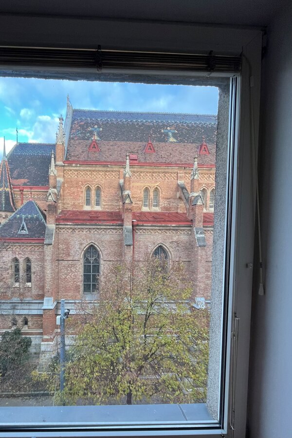 Ausblick
