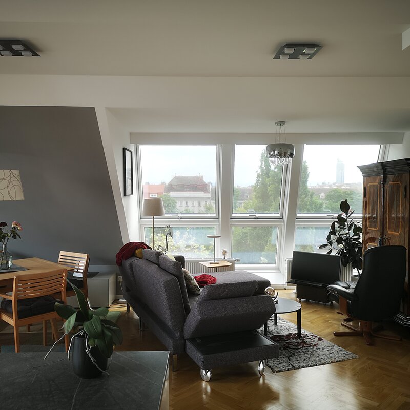 Blick über die Obere Alte Donau nach St. Leopold | © The Danube Cloud