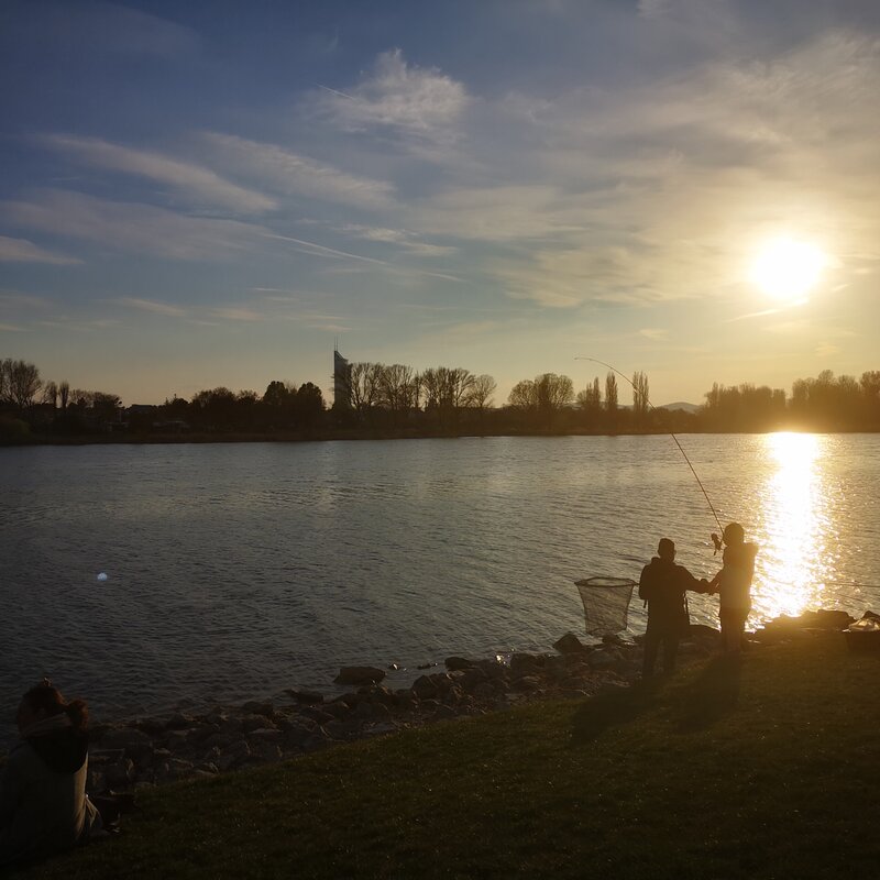 Alte Donau
