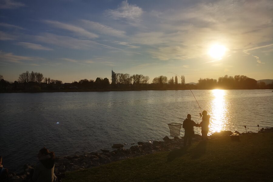 Alte Donau