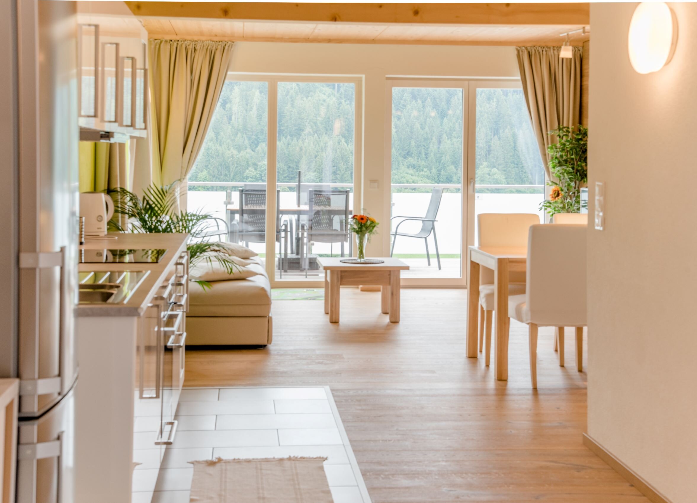 kitchen and living room