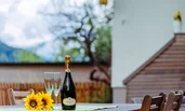 Garden table