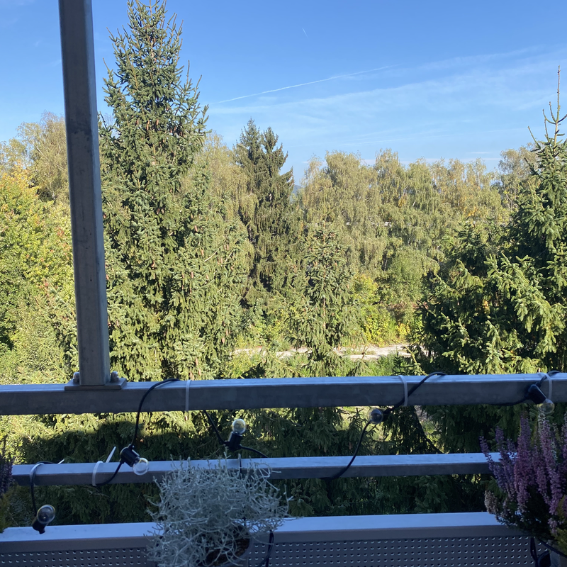view from the balcony