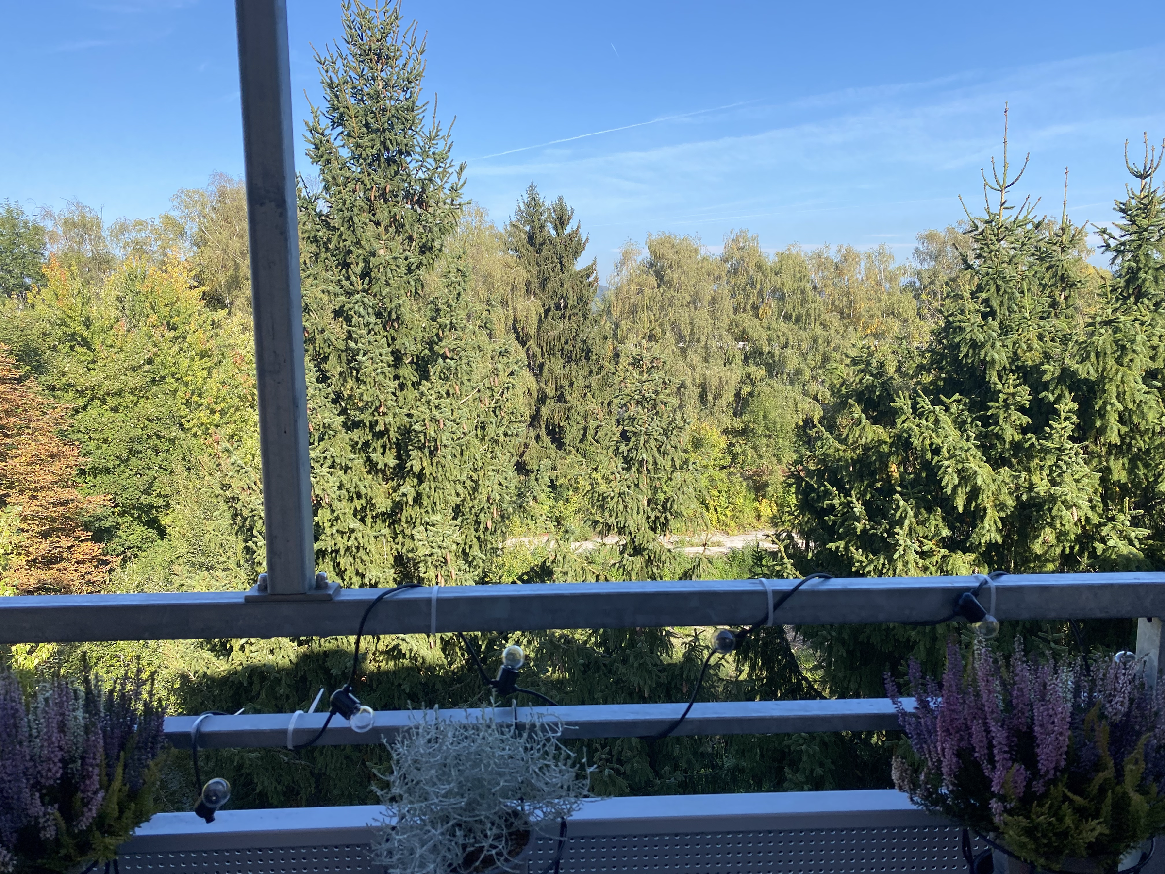 view from the balcony