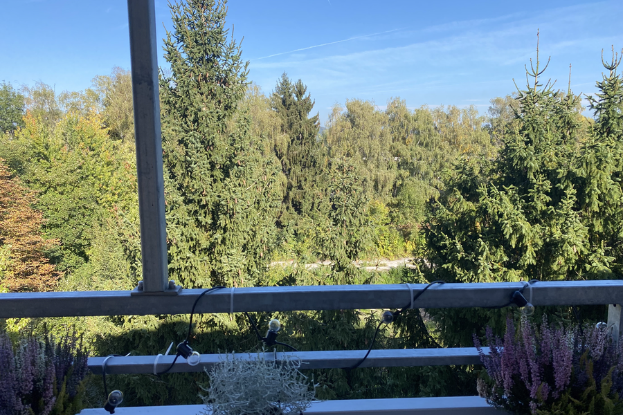view from the balcony