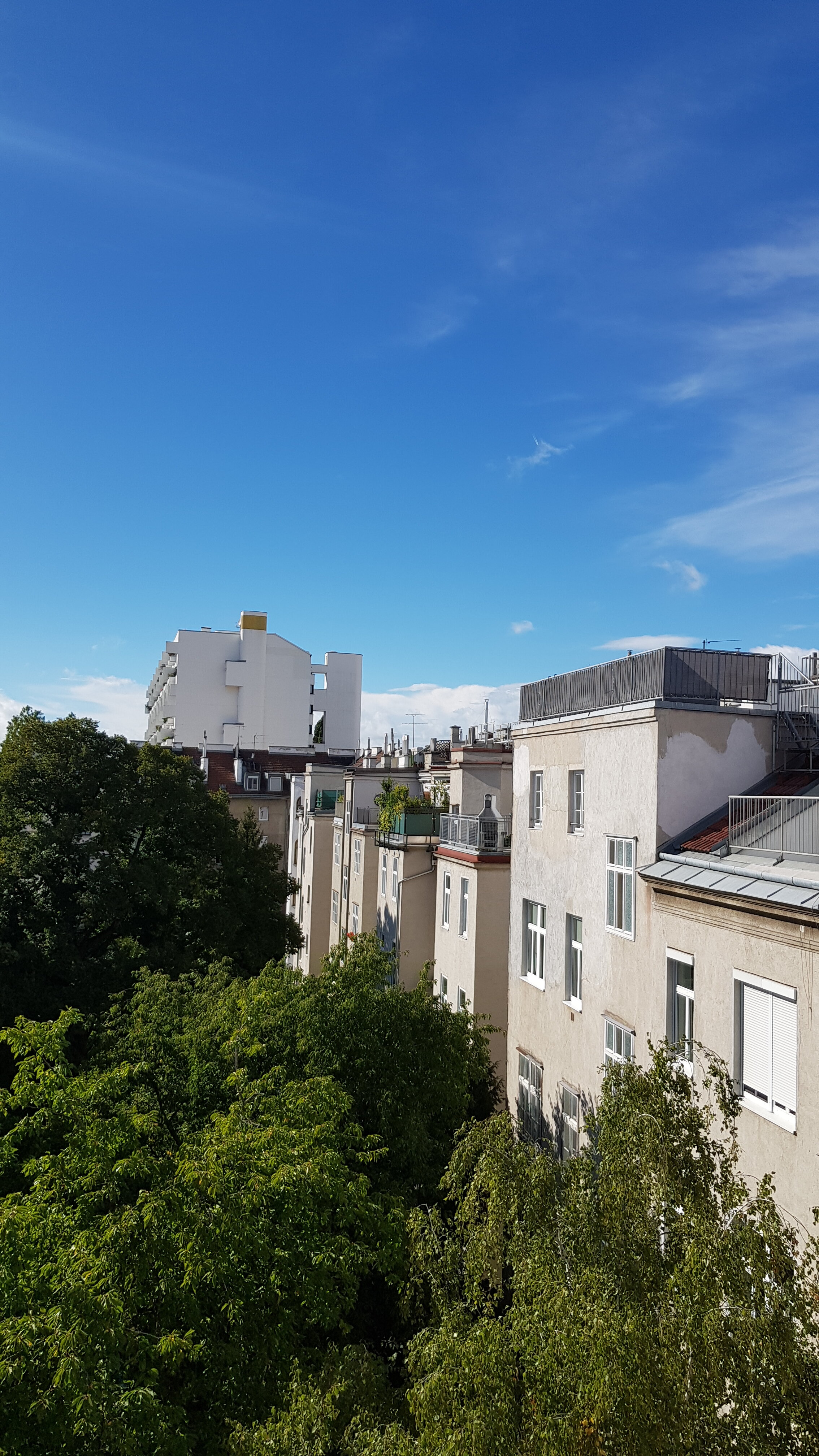 Aussicht ins Innenhof