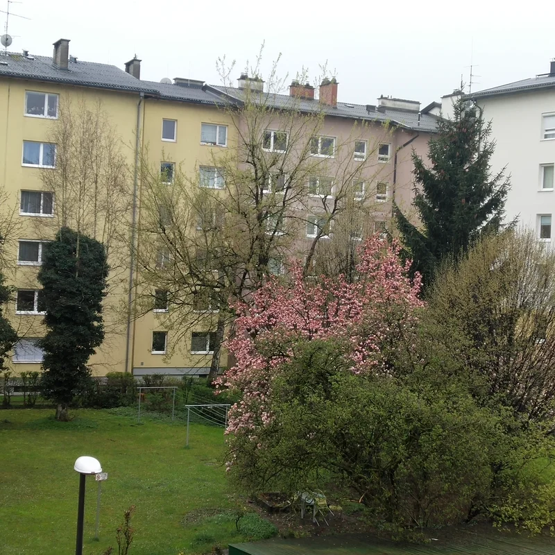 Herzlichwillkommen zu hause