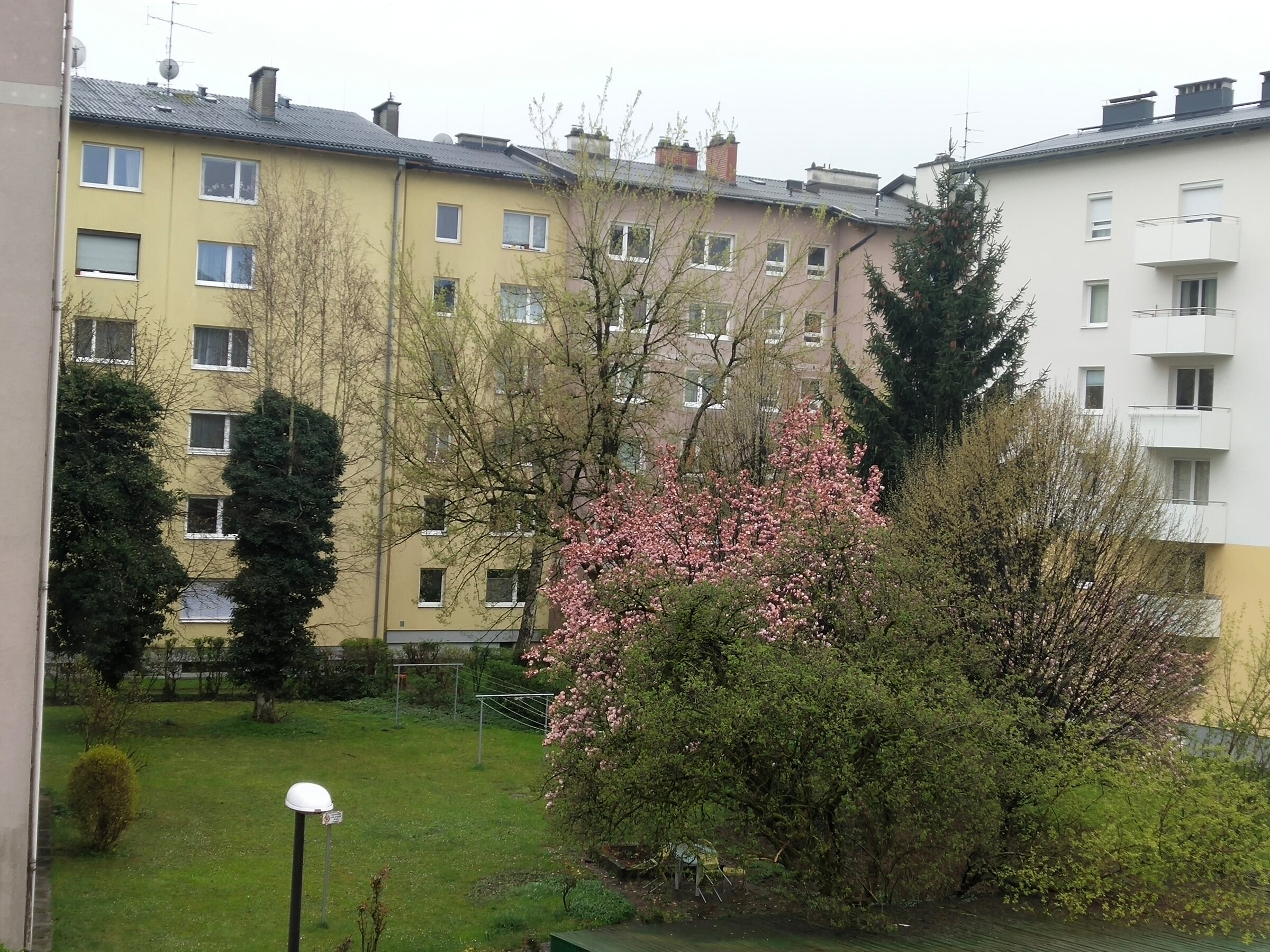 Herzlichwillkommen zu hause