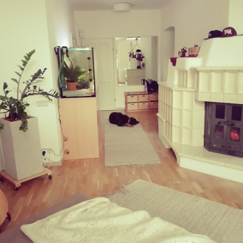 Blick in Richtung Wohnungstür | © Claudia Busslehner