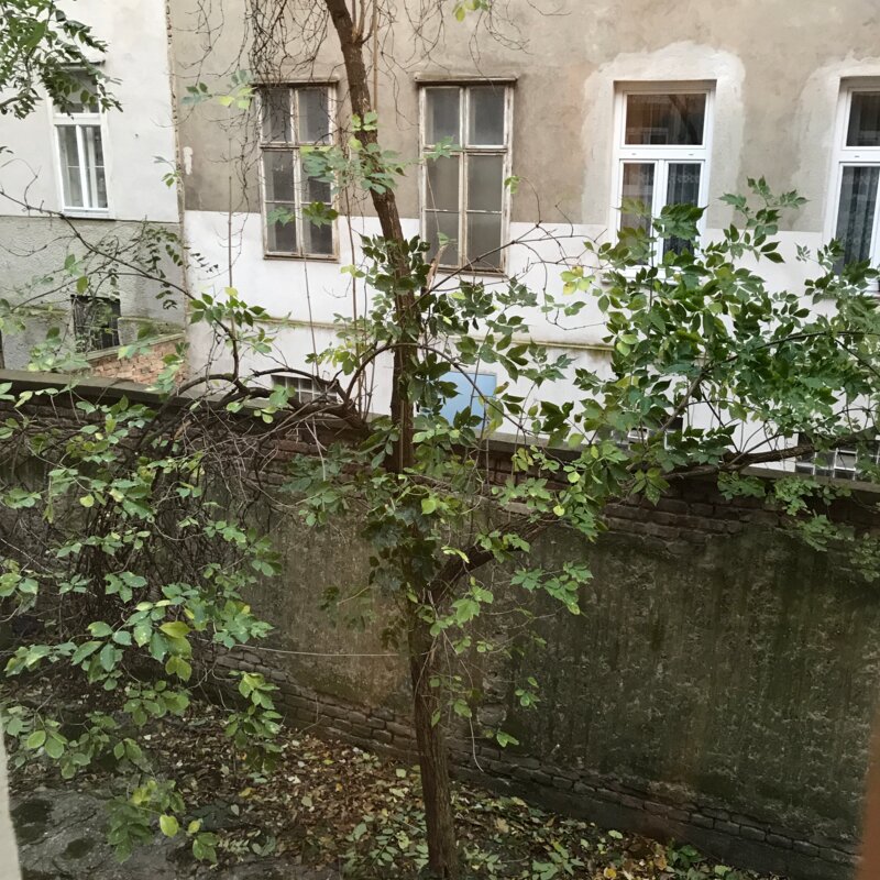 Ausblick Fenster zum Hof