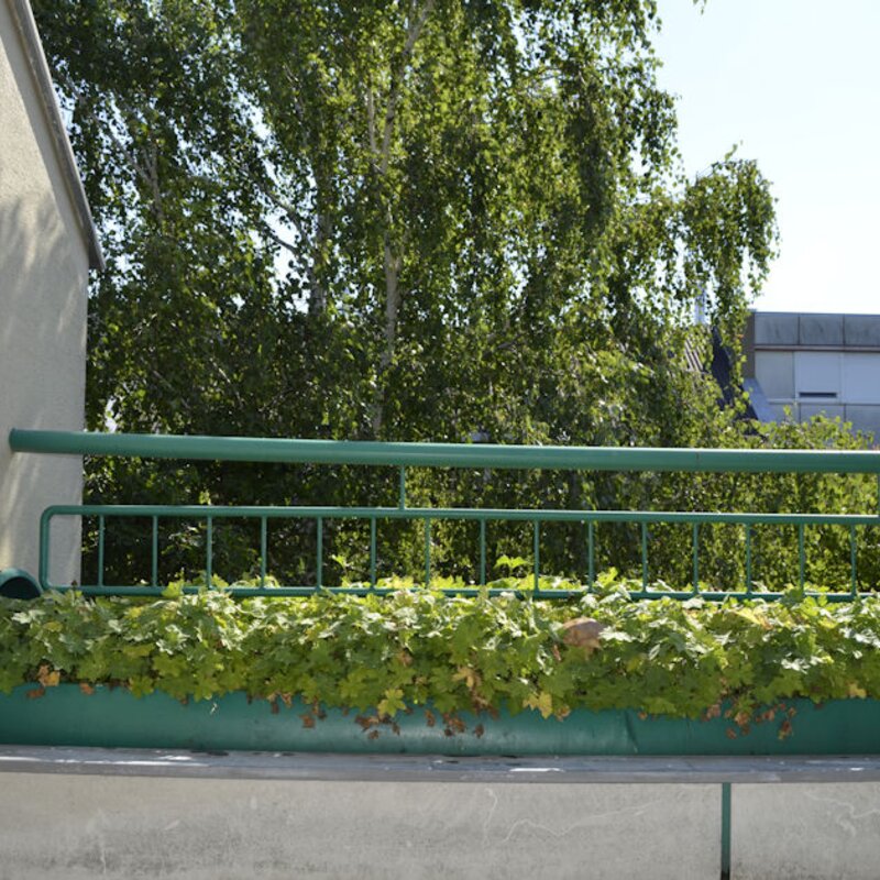 Loggia | © Werner Ertl