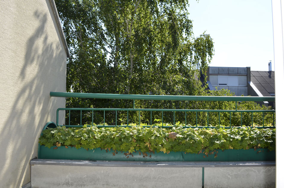 Loggia | © Werner Ertl