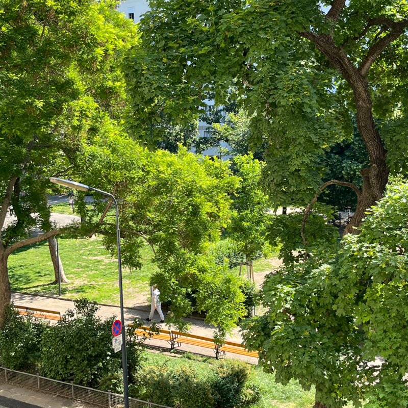 Aussicht vom Wohnzimmer | © G. Salzmann