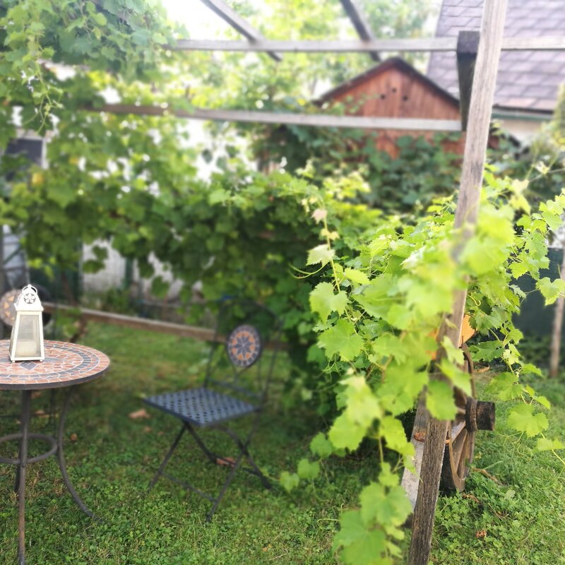 Garden pergola with vines: 2-room apartment, short-term rental Graz, temporary housing for 1 to 6 months