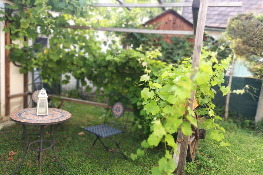 Garden pergola with vines: 2-room apartment, short-term rental Graz, temporary housing for 1 to 6 months