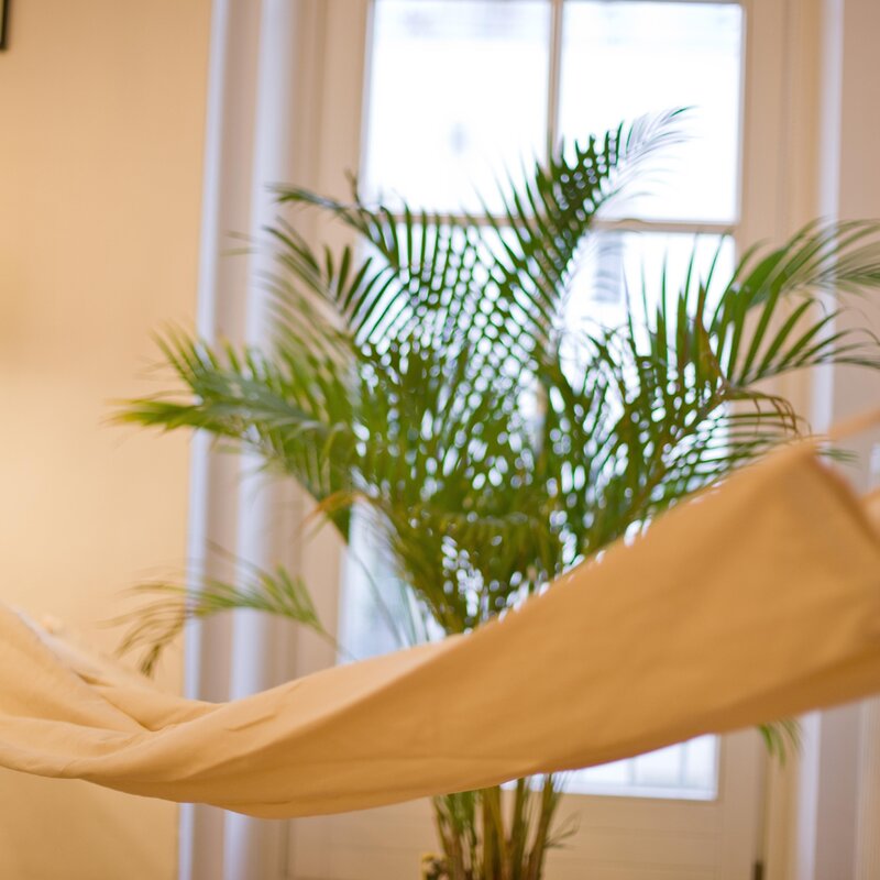 Hammock & palm in living area – 3-room apartment, short-term rental & temporary housing for 1 to 6 months in Innsbruck | © Gerhard Seher