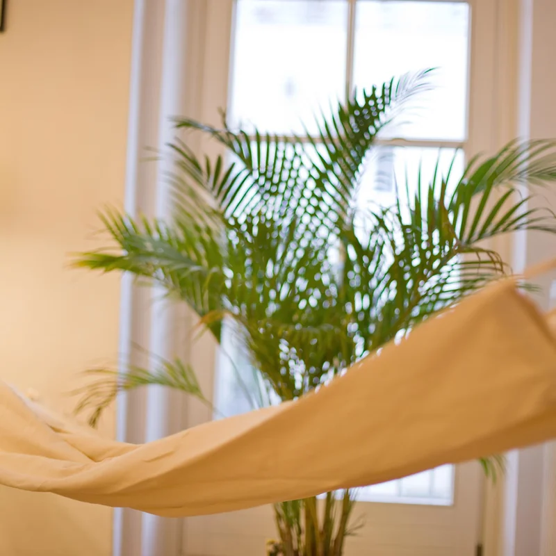 Wohnzimmer mit Hängematte | © Gerhard Seher