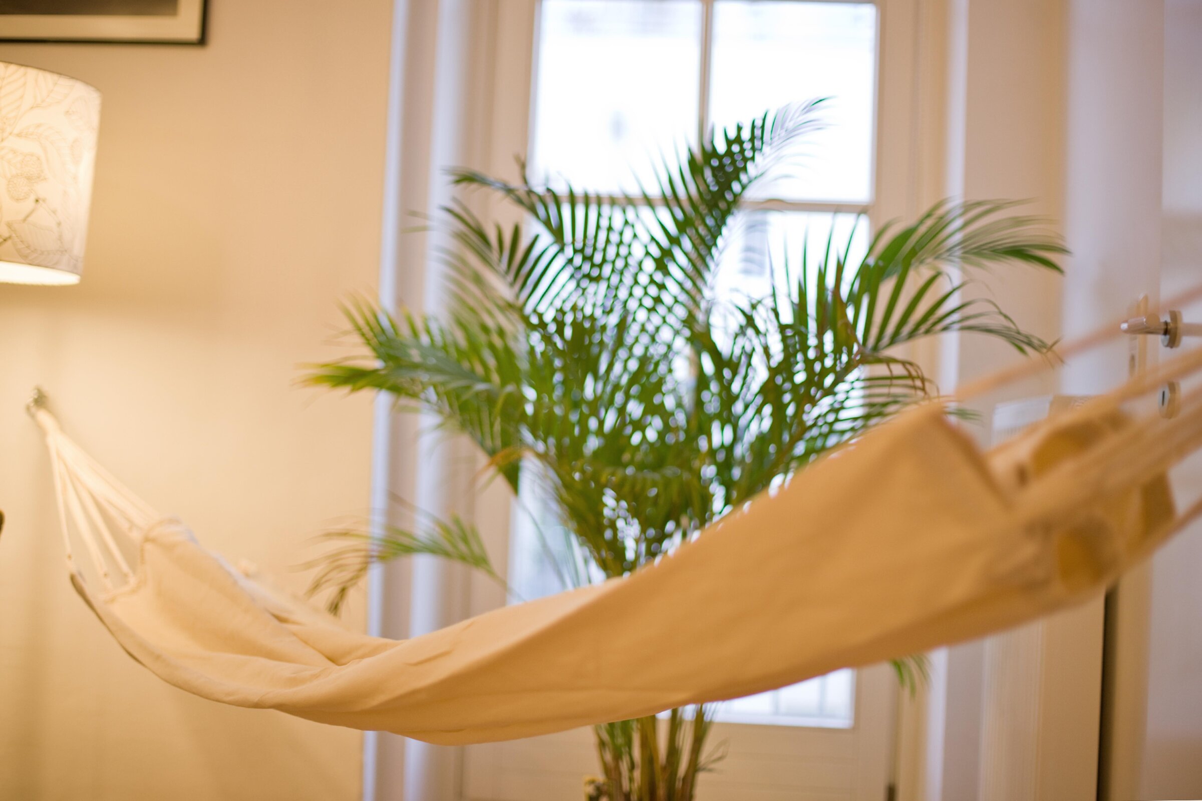 Hammock & palm in living area – 3-room apartment, short-term rental & temporary housing for 1 to 6 months in Innsbruck | © Gerhard Seher