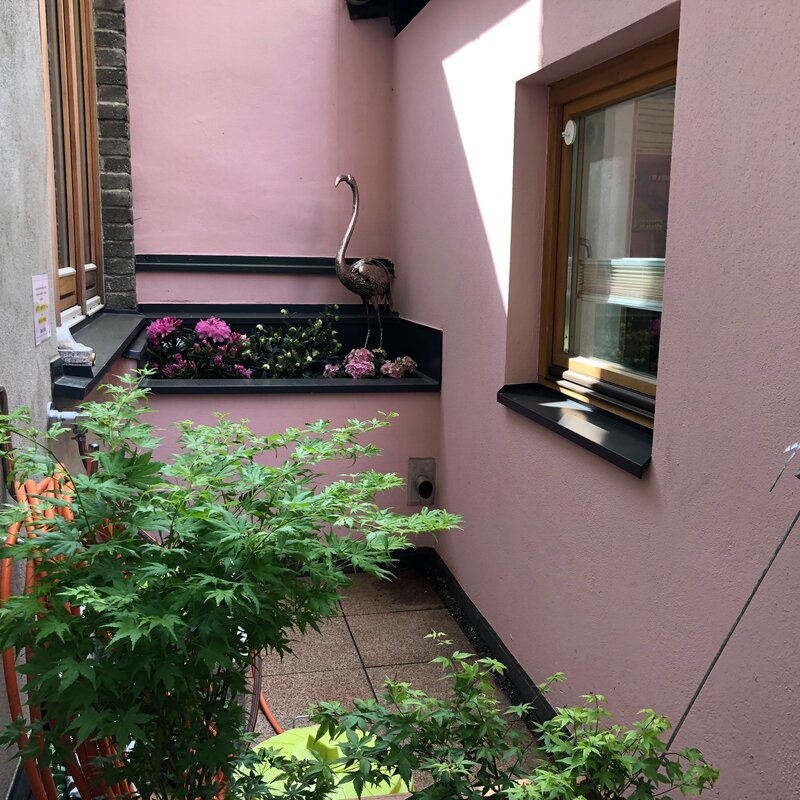 Detail | © Barbara Seher