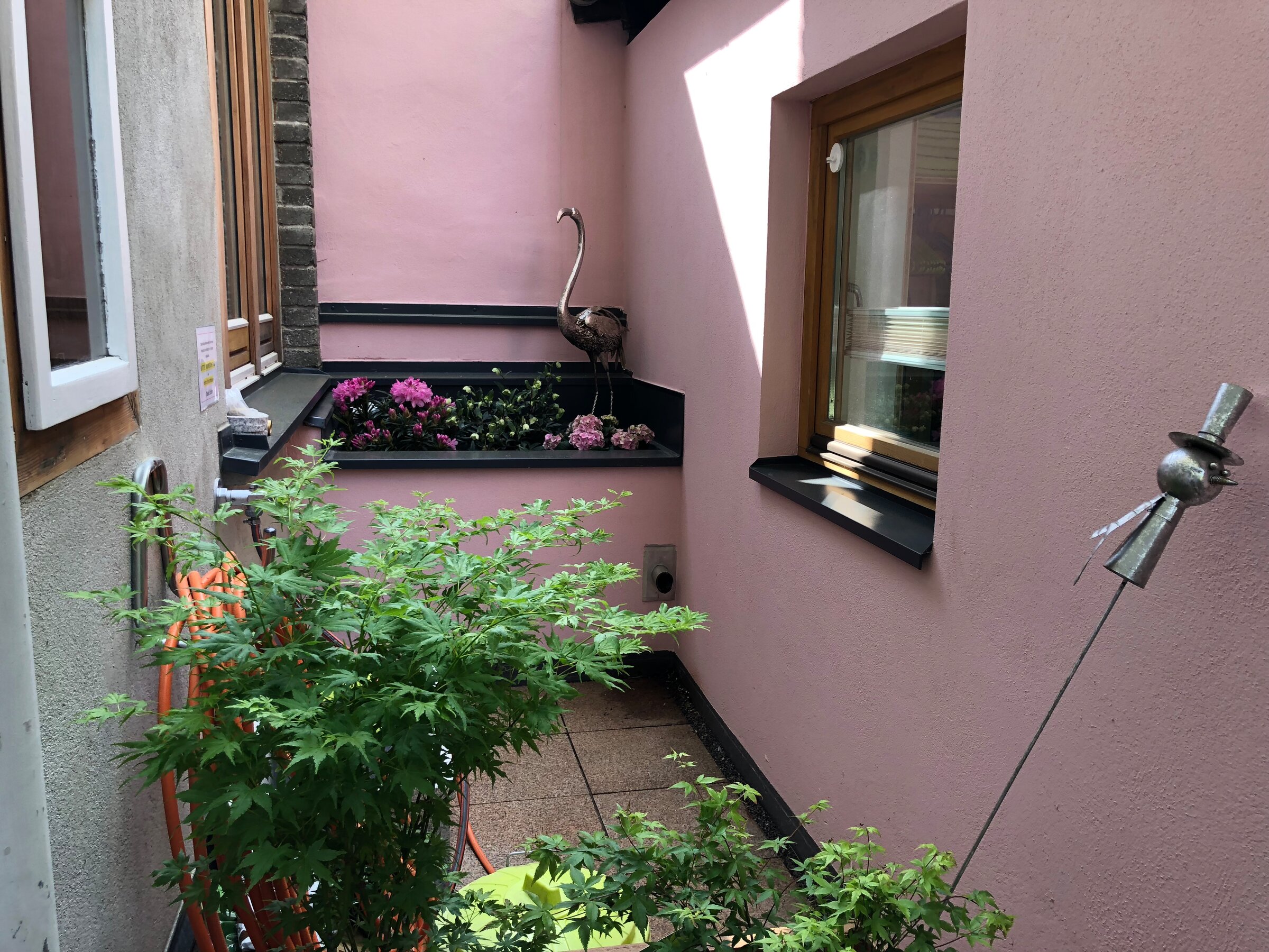 Detail | © Barbara Seher