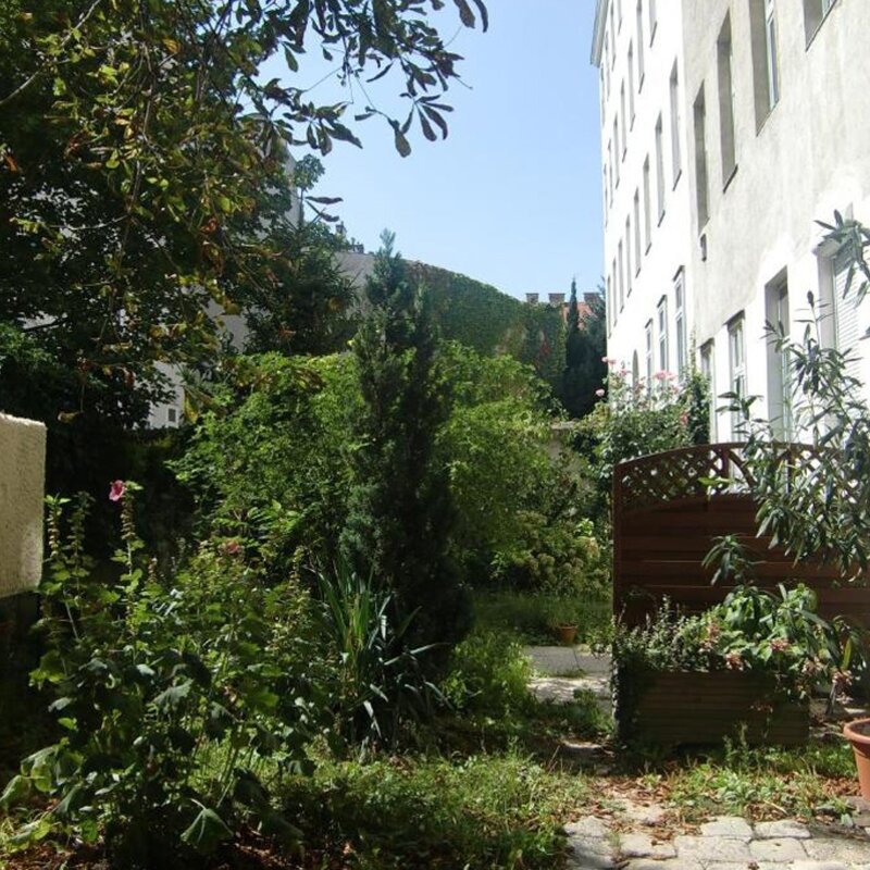 Backyard where windows open to.
