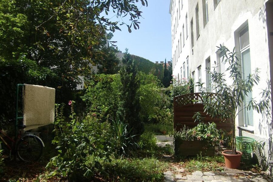 Backyard where windows open to.