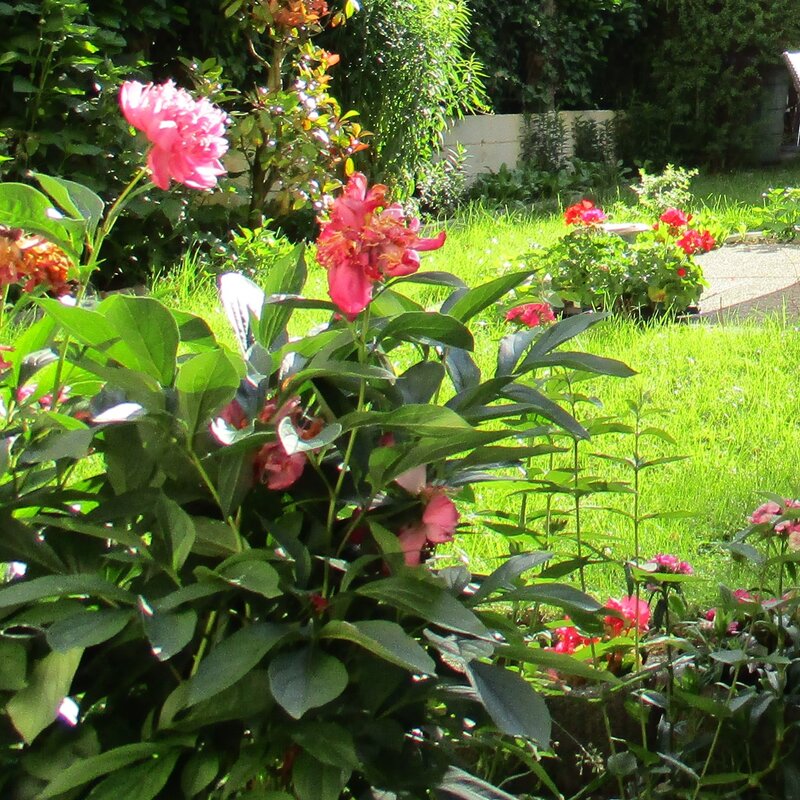 Blooming private garden – house for short-term rental & temporary housing for 1 to 6 months in Salzburg