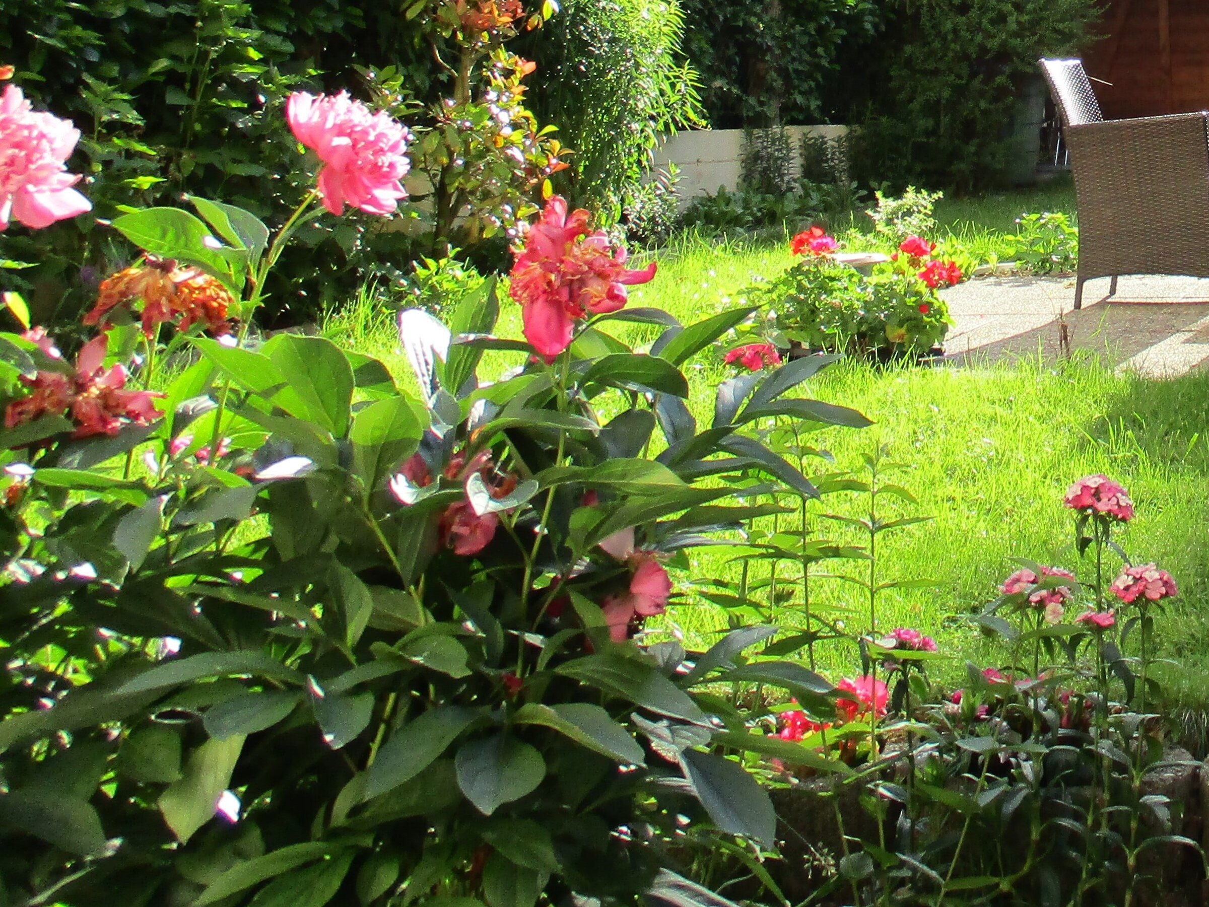 Blooming private garden – house for short-term rental & temporary housing for 1 to 6 months in Salzburg