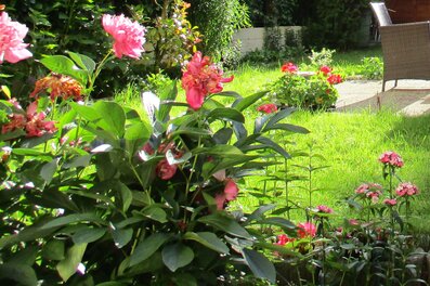 Blooming private garden – house for short-term rental & temporary housing for 1 to 6 months in Salzburg