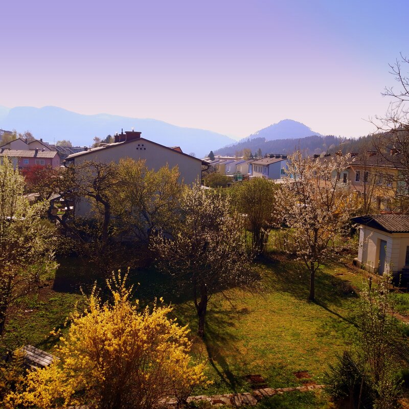 Ausblick Wohnbereich 