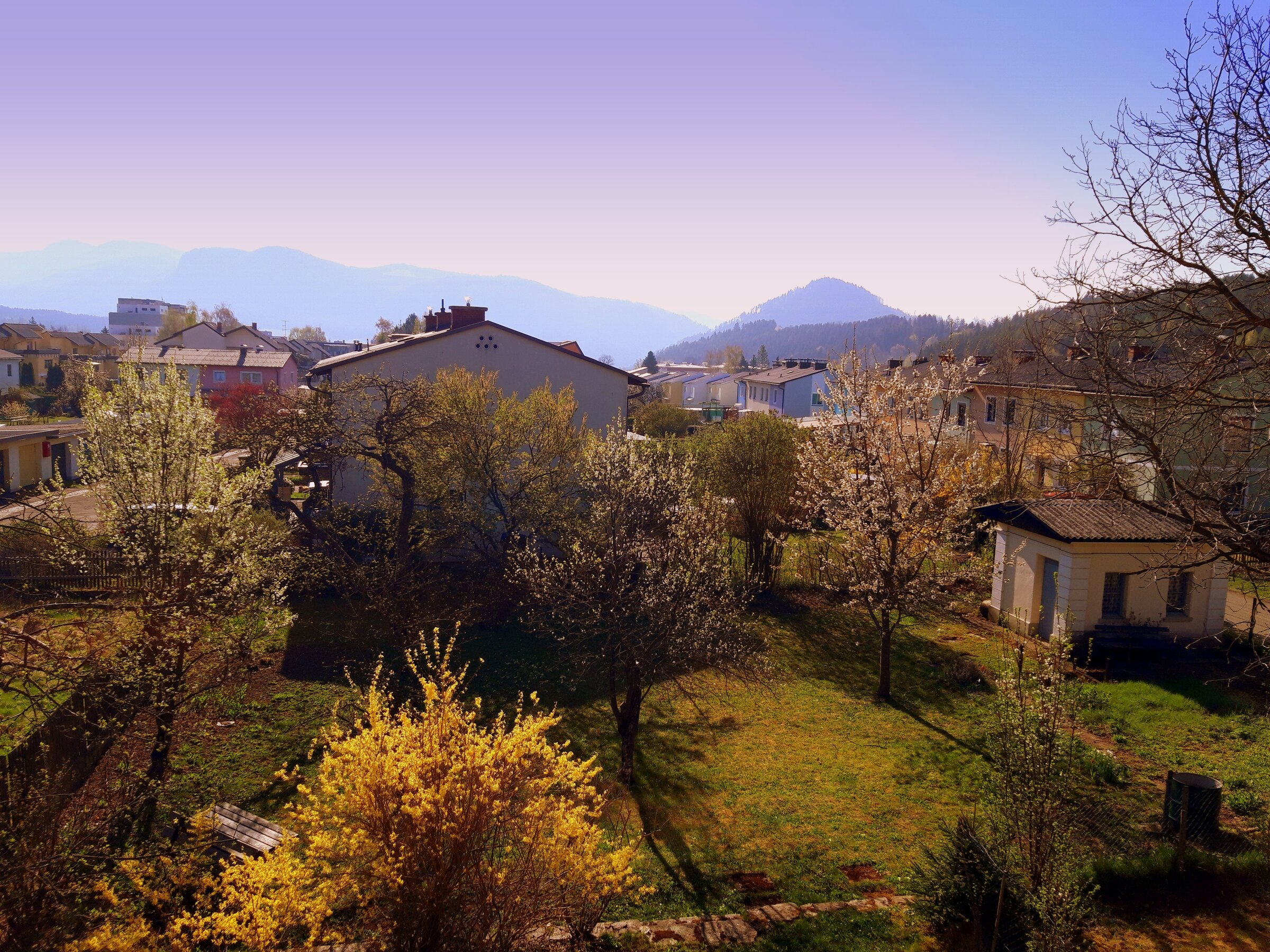 Ausblick Wohnbereich 