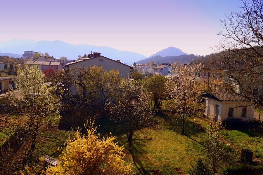 Ausblick Wohnbereich 