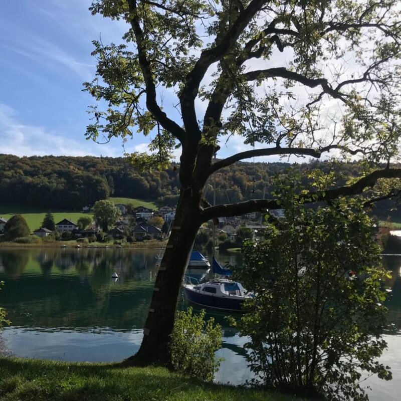 Lake view from the village