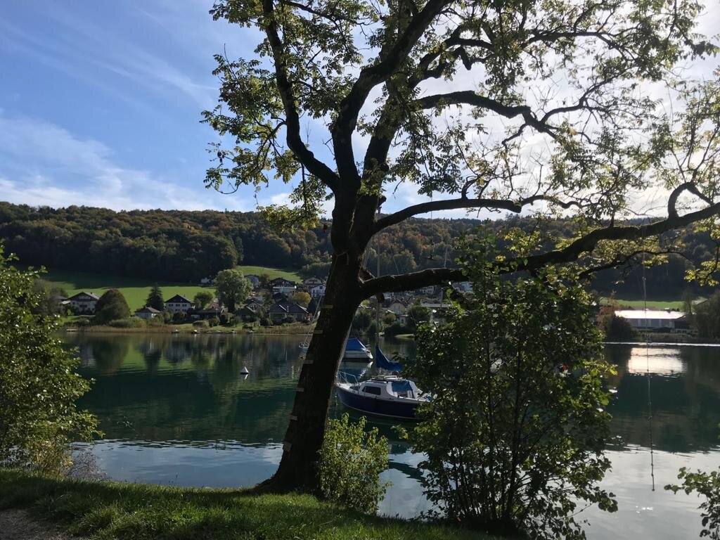 Lake view from the village