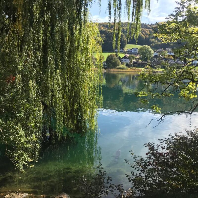 Lake view from the village