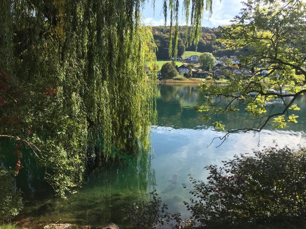 Lake view from the village