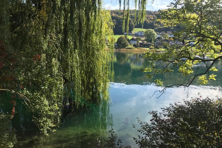 Lake view from the village