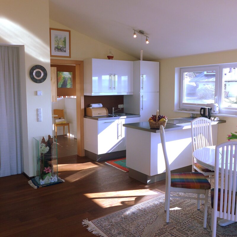Dining area and kitchen