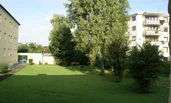 Blick in den Garten