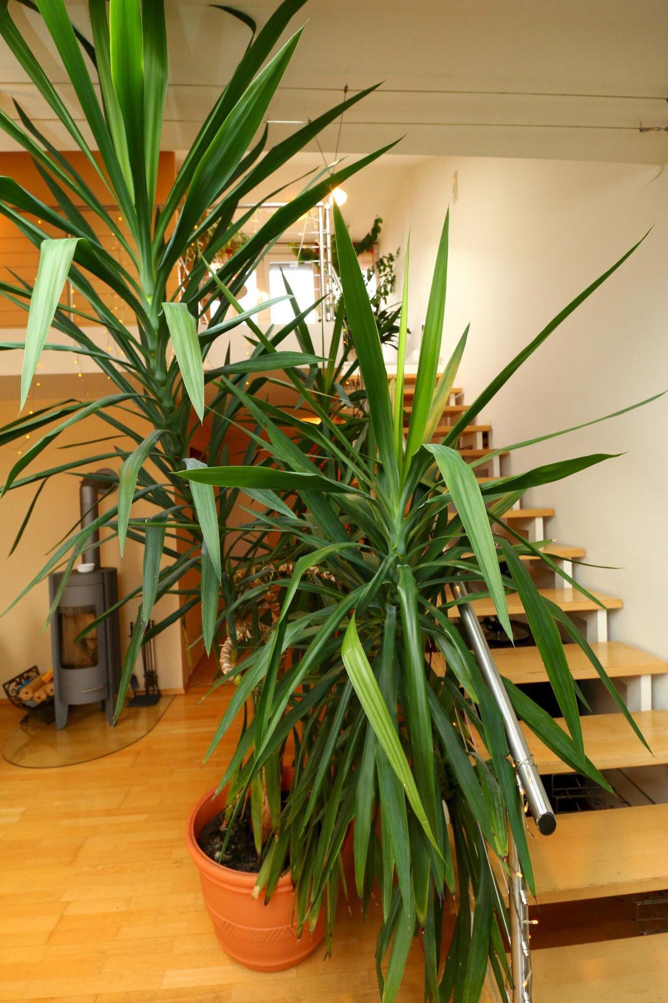 Treppe zur Galerie und Terrasse