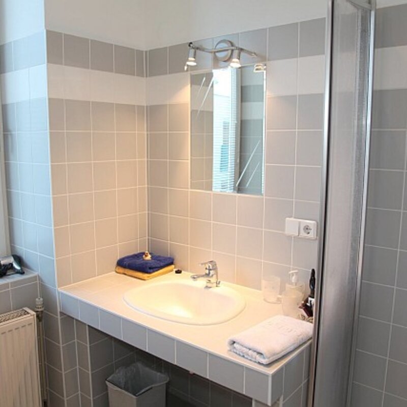 Bad - Waschtisch und Dusche | © ch@lausecker.co.at