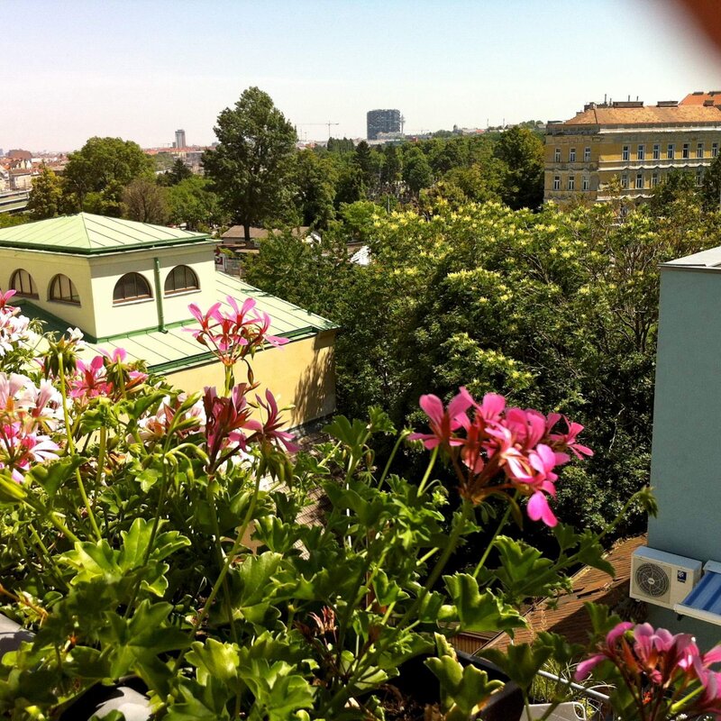 Blick nach Osten von unseren Wohnungen | © lausecker