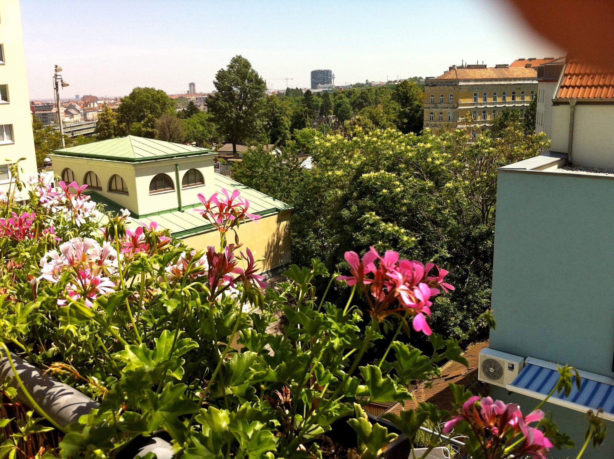 Blick nach Osten von unseren Wohnungen | © lausecker
