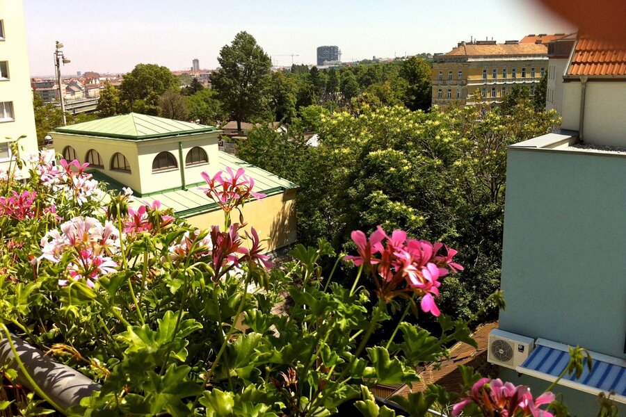 Blick nach Osten von unseren Wohnungen | © lausecker