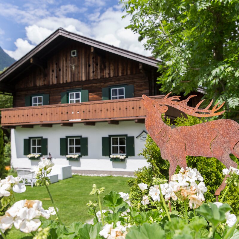 Alpines Forsthaus mit Garten & Bergpanorama – Wohnen auf Zeit & Kurzzeitmiete für 1 bis 6 Monate in Golling an der Salzach