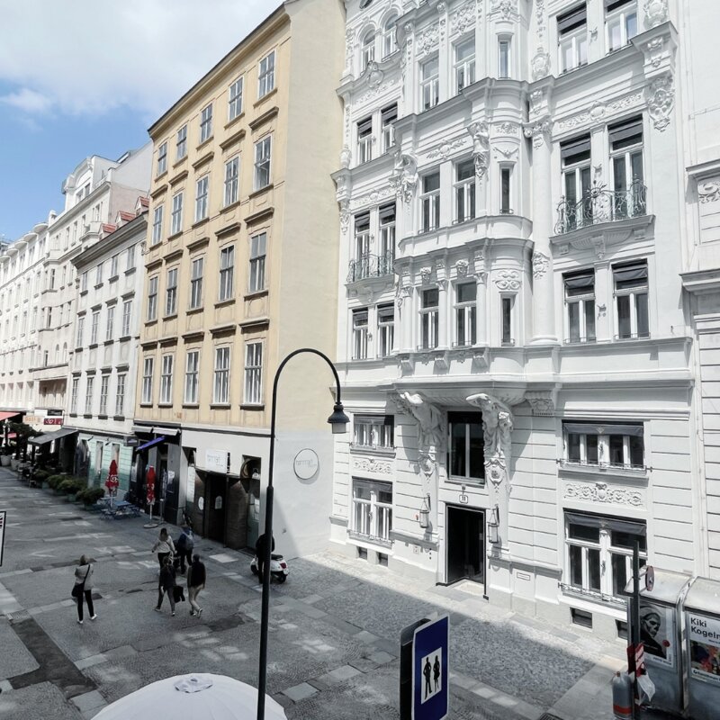 View from the terrace