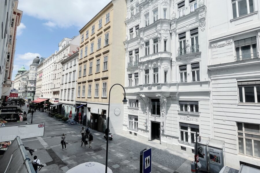 View from the terrace