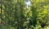 Mühlbach  | © Lukas Stöger