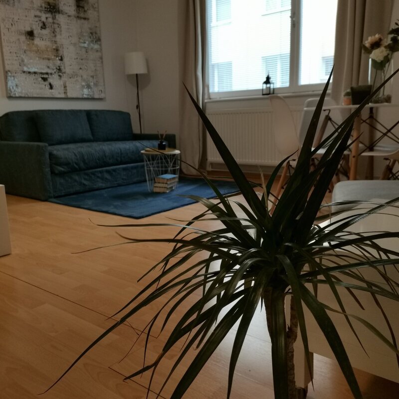 TV sofa