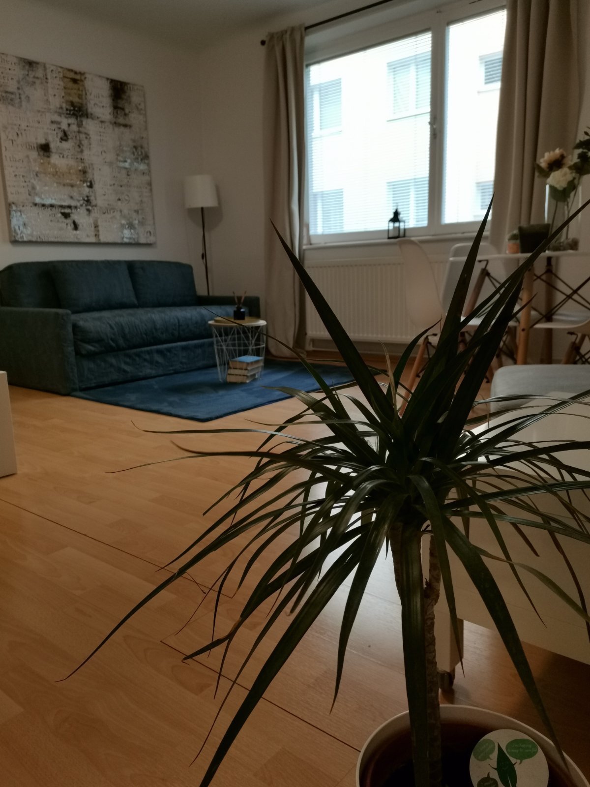 TV sofa